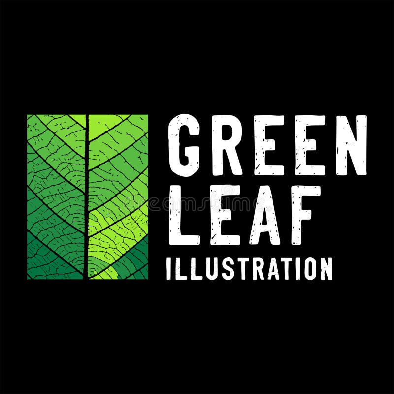 Square Realistic Green Leaf Tree for Environment Nature or Herb Illustration vector illustration