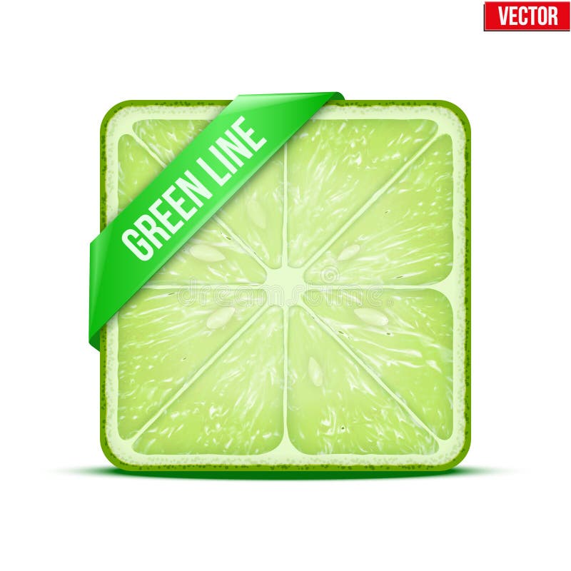 Square slice of lime Green Line. Vector