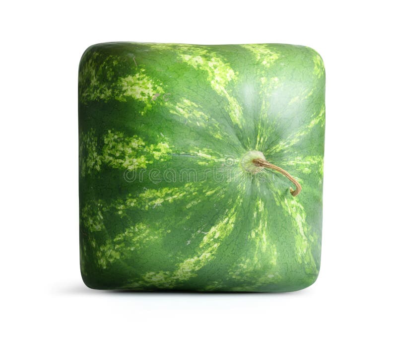 square watermelon