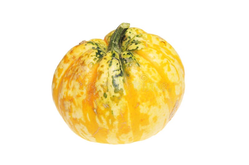 Squash