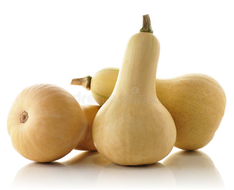 Squash de arahide stock images