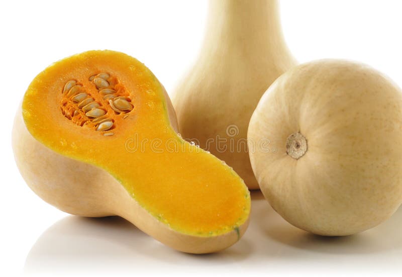 Squash de arahide royalty free stock photos