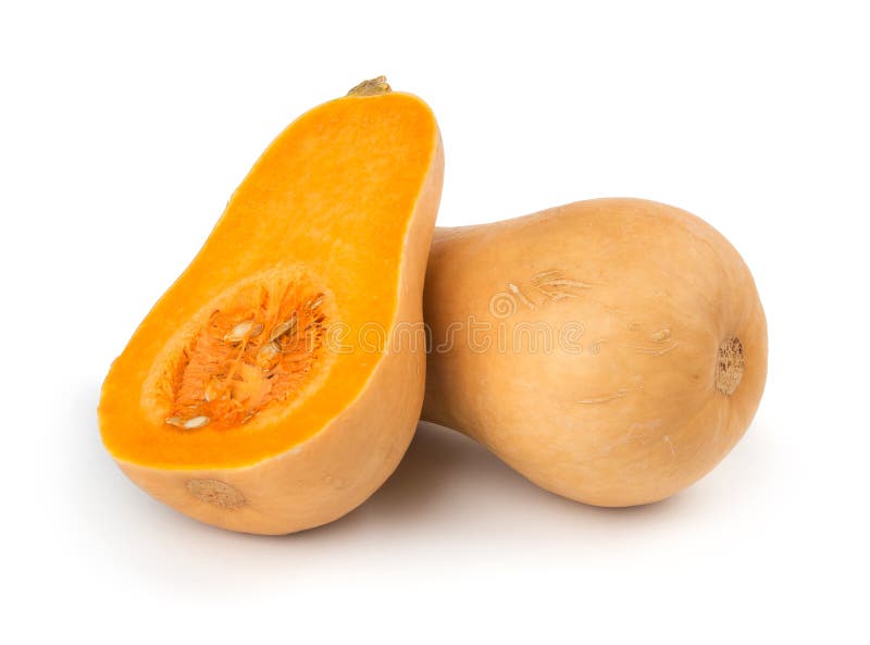 Squash de arahide royalty free stock image