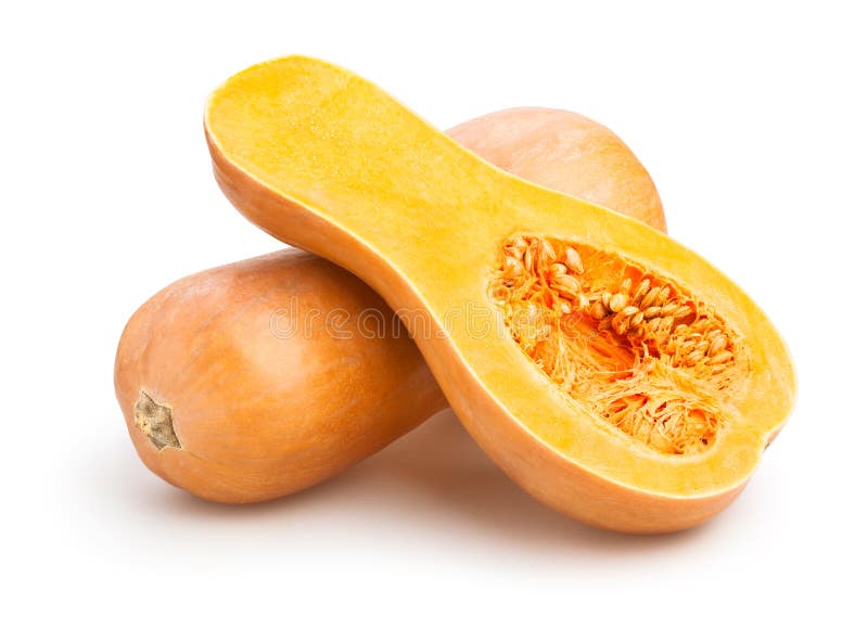 Squash de arahide royalty free stock photo