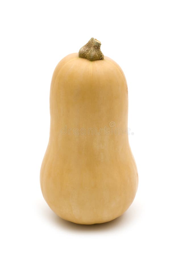 Squash de arahide royalty free stock photo