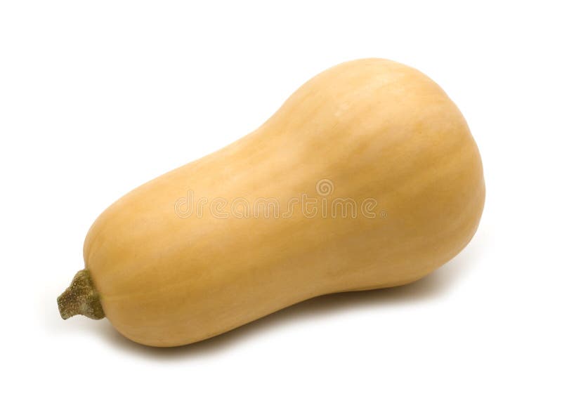 Squash de arahide royalty free stock image