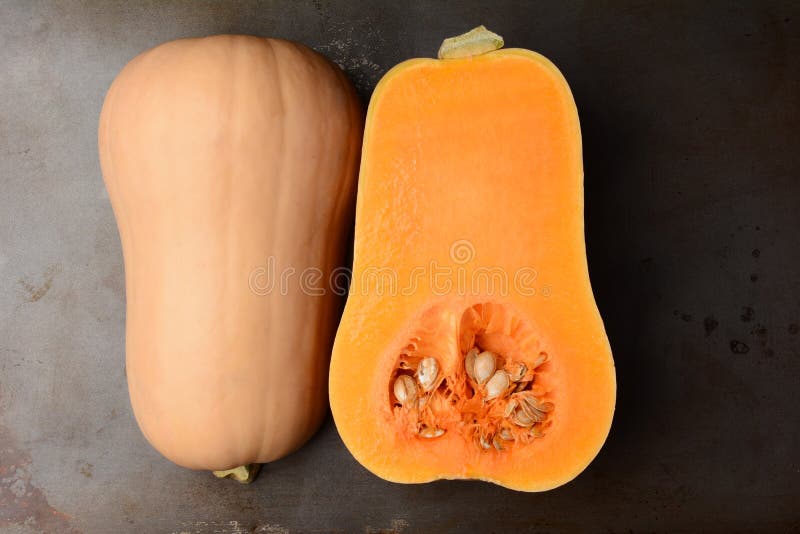 Squash de arahide stock photography