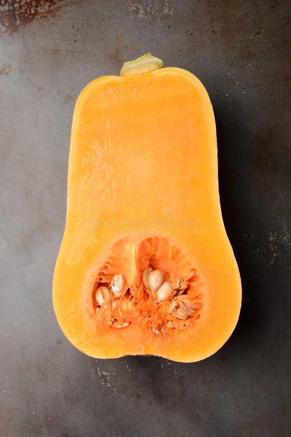 Squash de arahide royalty free stock image
