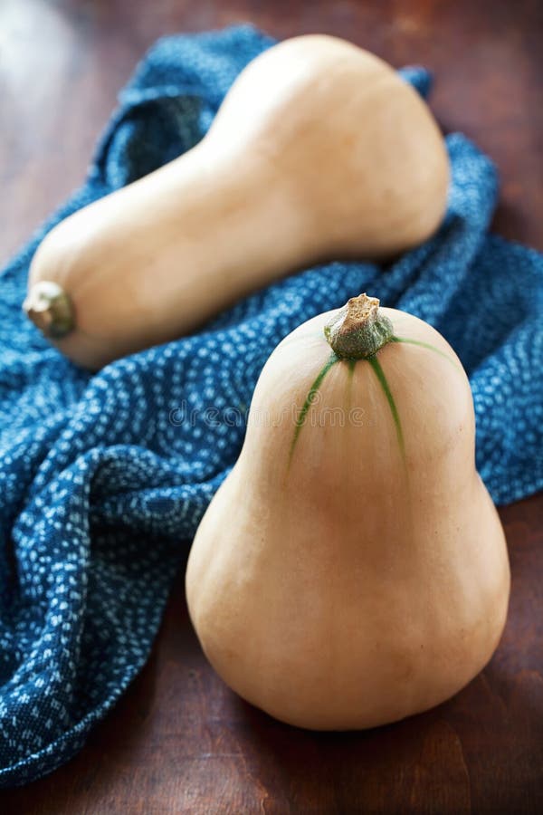 Squash de arahide royalty free stock photo