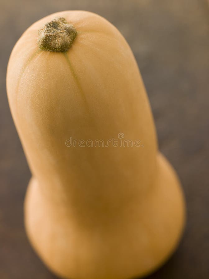 Squash de arahide stock photography