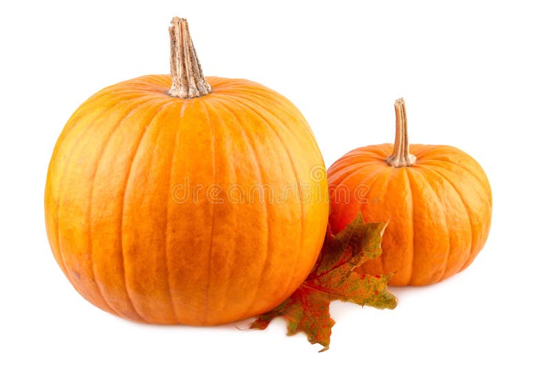 Squash with fall leaves Orange pumpkins isolated on white stock image Squash with fall leaves Orange pumpkins isolated on white stock image