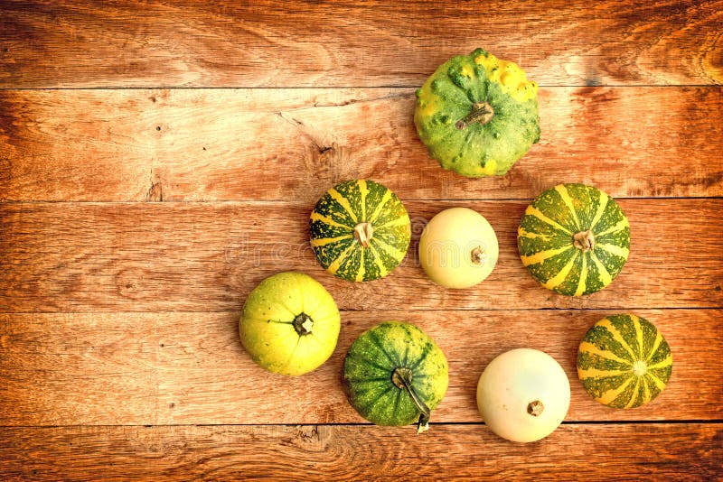 Squash, gourd, pumpkin stock image. Image of autumn, organic 38144351
