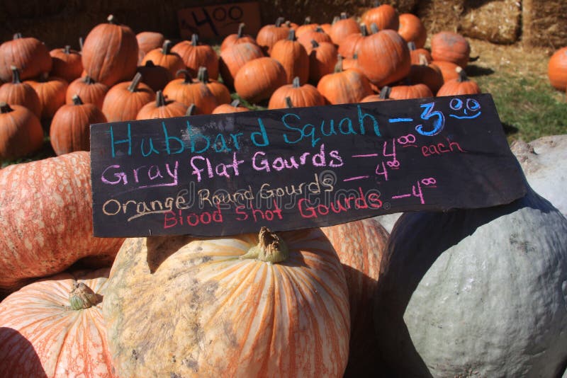 Squash and gourds stock image. Image of autumn, signifying 59675029