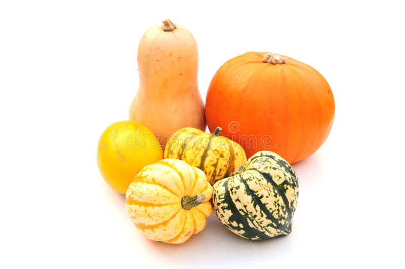 Squashes