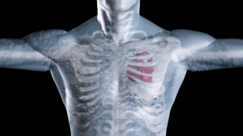 Squelette numérique gris avec engrenages et rouages illustration libre de droits