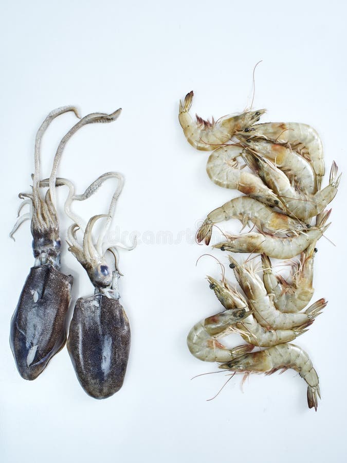 Squid and Shrimp, Fresh Seafood Stock Photo - Image of freshness