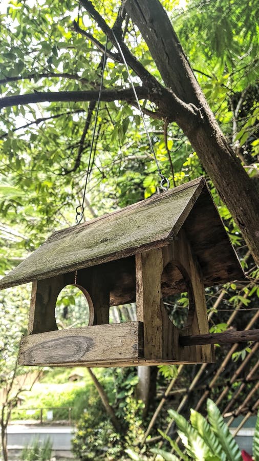 Squirrel cage stock image. Image of shady, woodland 261939639