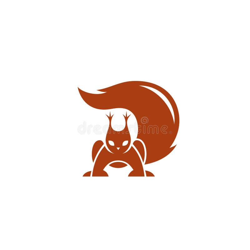 Squirrel - vector illustration