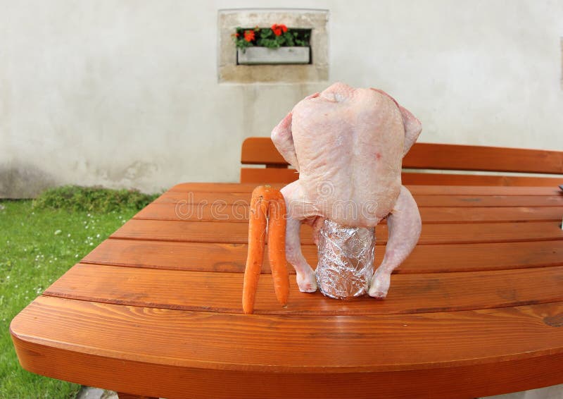Pollo Desnudo Que Guarda Su Huevo Imagen de archivo - Imagen de mentira