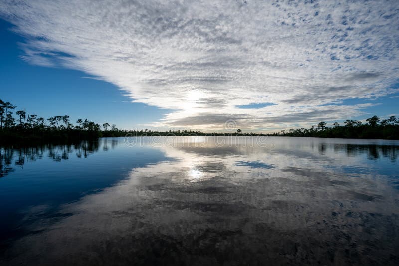 Srebrny szary chmura nad jeziorem sosnowym w parku narodowym everglades. obraz stock