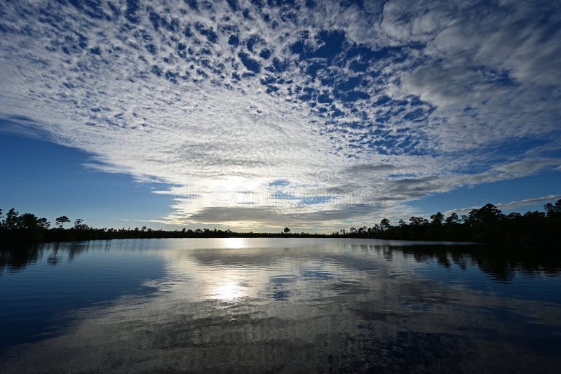 Srebrny szary chmura nad jeziorem sosnowym w parku narodowym everglades. obraz stock