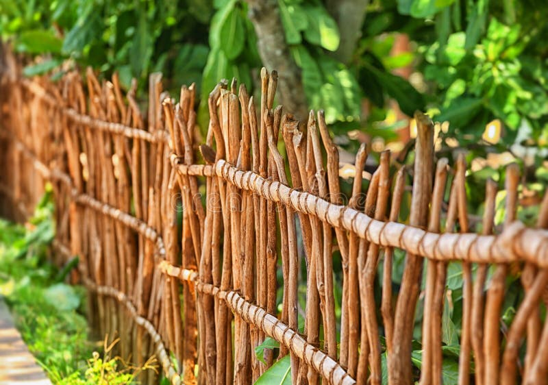 Sri Lanka The Fence Of Twigs Stock Photo Image of branches