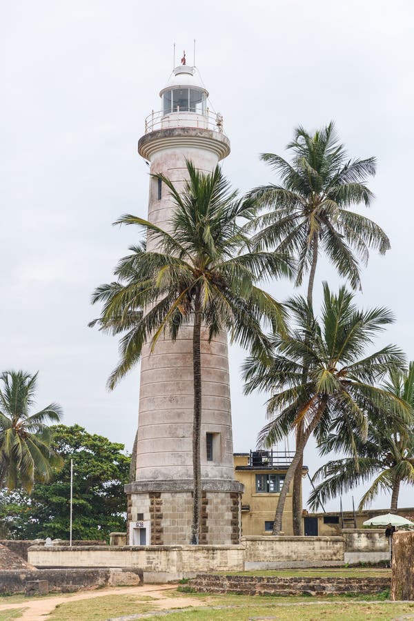 SRI LANKA GALLE FORT - JANUARI 17, 2017: scenisk sikt av palmträd runt om hög byggnad, Asien arkivfoto SRI LANKA GALLE FORT - JANUARI 17, 2017: scenisk sikt av palmträd runt om hög byggnad, Asien arkivfoto