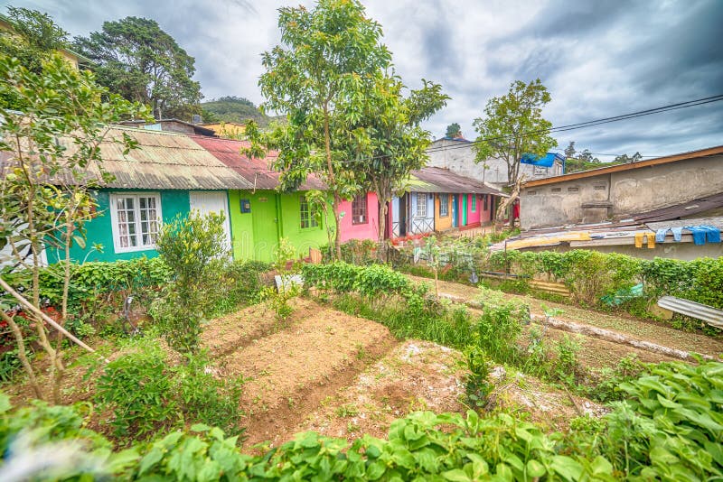 Sri Lanka Nuwara Eliya: hus av bönder i tekolonier fotografering för bildbyråer Sri Lanka Nuwara Eliya: hus av bönder i tekolonier fotografering för bildbyråer