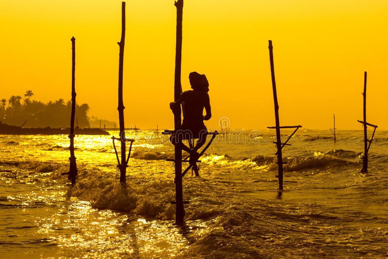 Sri Lanka`s traditional Fisherman on sunset. Fishing on silt is