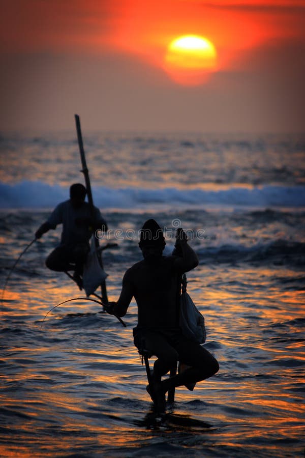 Sri Lanka: Stilt fishermen