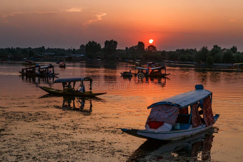 SRI NAGAR, KASHMIR, INDIA - 11 AGOSTO 2018: Shi locale di molte barche fotografia stock libera da diritti SRI NAGAR, KASHMIR, INDIA - 11 AGOSTO 2018: Shi locale di molte barche fotografia stock libera da diritti