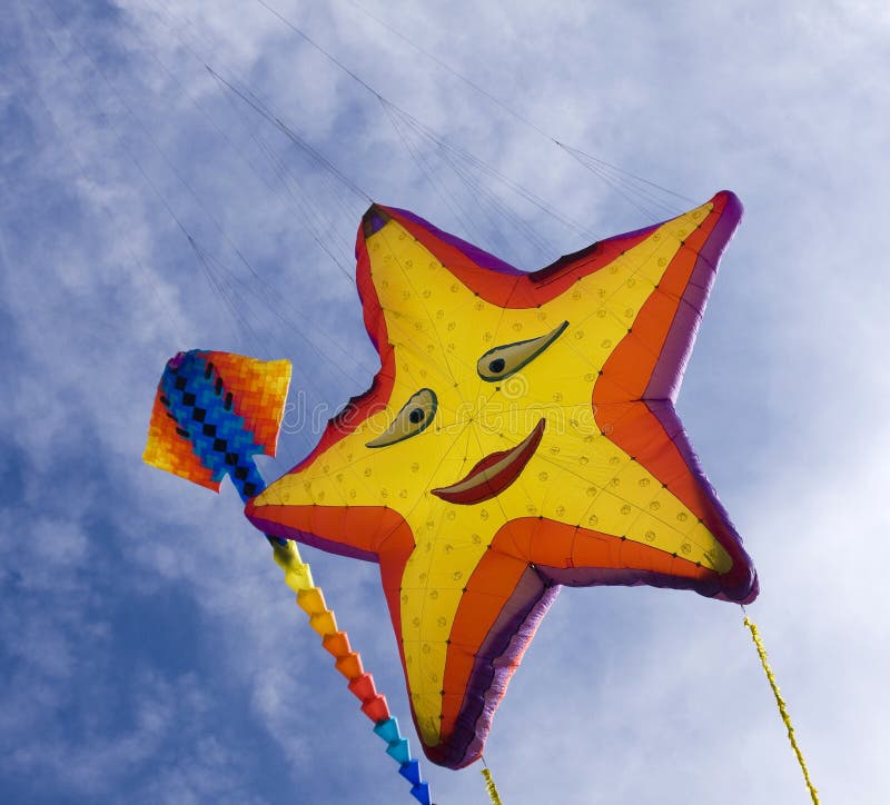 Sstingray and starfish kites