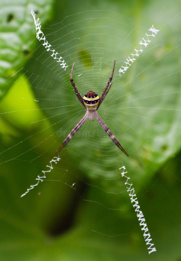 St Andrew kruisspin royalty-vrije stock afbeeldingen