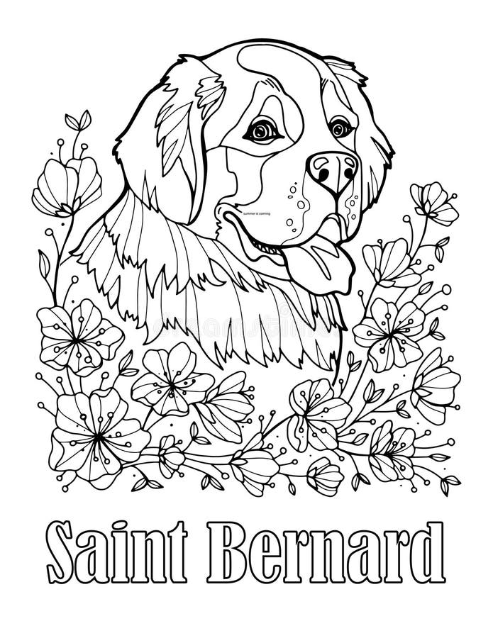 Download St Bernard Stock Illustrations - 317 St Bernard Stock ...