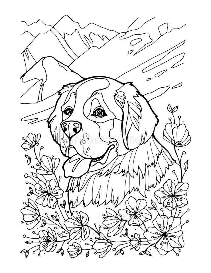 Download Saint Bernard Dog Head, Freehand Pencil, Hand Drawn, Pattern. Zen Art. Ornate Vector. Coloring ...