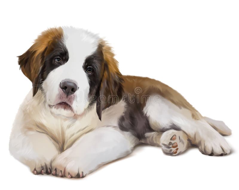 St. Bernard`s dog is down. Watercolor painting stock illustration St. Bernard`s dog is down. Watercolor painting stock illustration