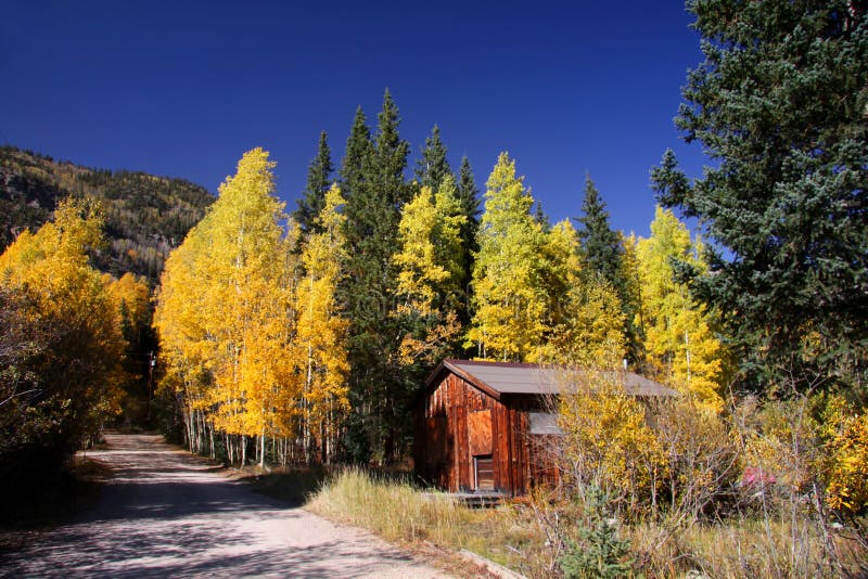 St Elmo Ghost town stock photo. Image of america, forest 26773570