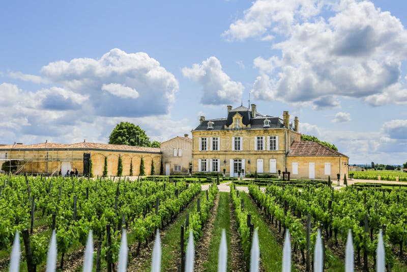 St Emilion Франция Vinyard стоковое фото St Emilion Франция Vinyard стоковое фото