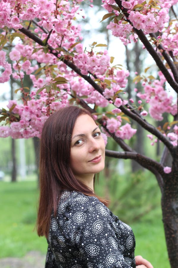 St?ende av den h?rliga flickan i det sakura tr?det Sakura blommor omger flickan Sakura filial vid hennes framsida japansk tree arkivbild St?ende av den h?rliga flickan i det sakura tr?det Sakura blommor omger flickan Sakura filial vid hennes framsida japansk tree arkivbild