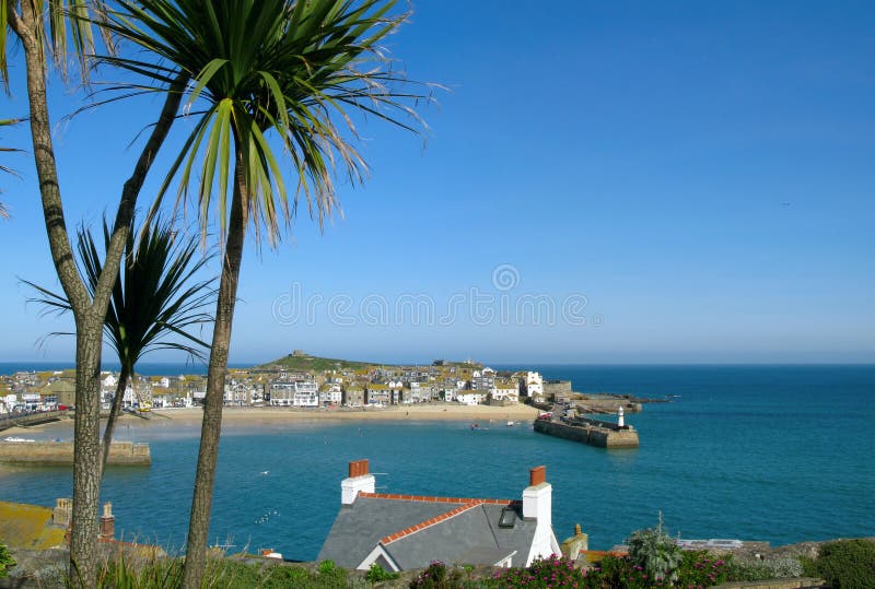 St. Ives harbour palm trees. royalty free stock photo