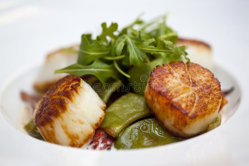 St. Jacques scallops stock image. Image of scallops, green 29599653