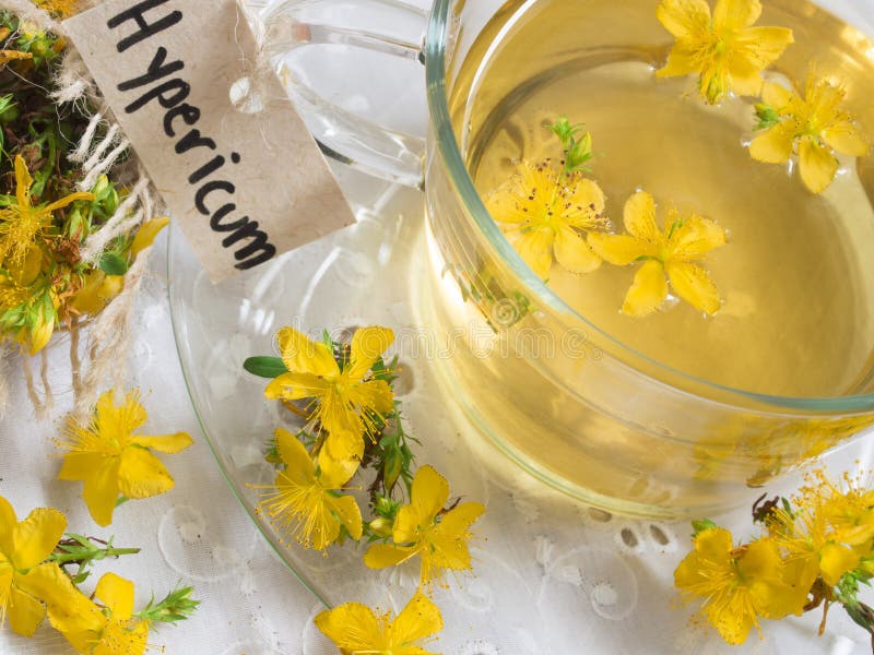 St John s wort tea stock photo. Image of healthy, fresh 34821856