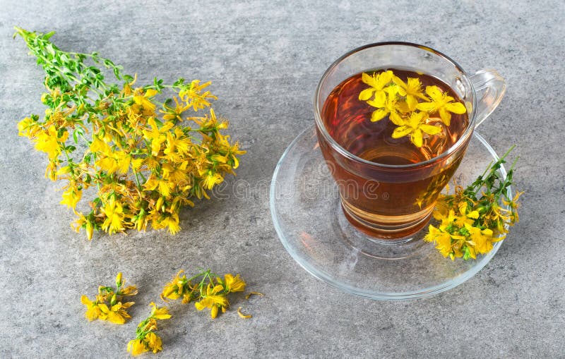 St. John`s Wort Tea and Hypericum Flowers Stock Image Image of saucer