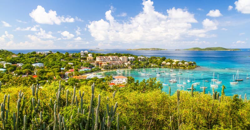 St John USVI - kaktusbacke ovanför Cruz Bay royaltyfri foto St John USVI - kaktusbacke ovanför Cruz Bay royaltyfri foto