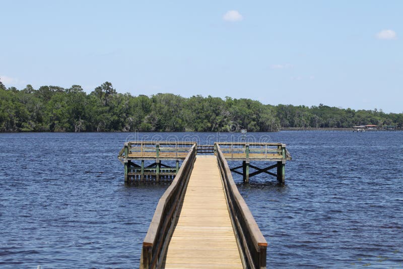 St. Johns river in Florida stock photo. Image of bush 125593026