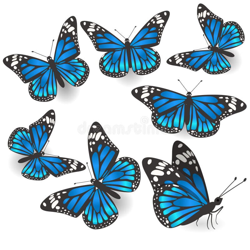 St?ll in av h?rliga bl?a fj?rilar isolerad vektor royaltyfri illustrationer St?ll in av h?rliga bl?a fj?rilar isolerad vektor royaltyfri illustrationer