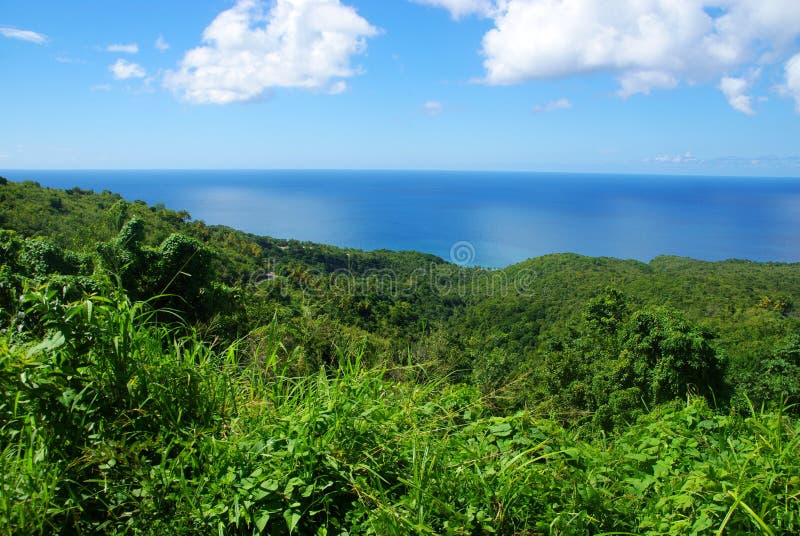 St Lucia stockfoto St Lucia stockfoto