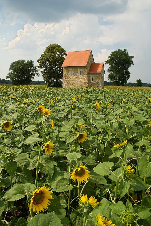 Kostel sv.Margity