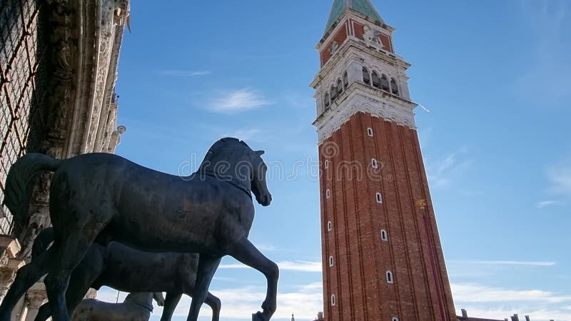 St Marks Campanile est le clocher de la basilique St Marks à Venise Italie banque de vidéos