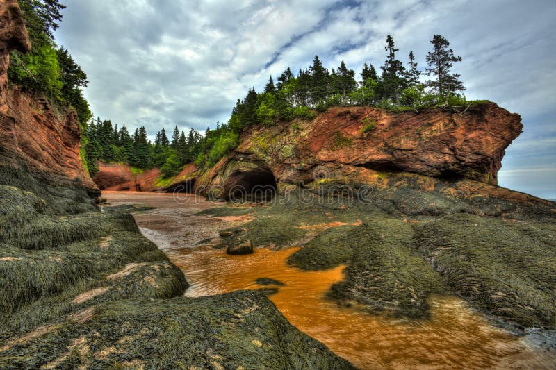 St Martins Caves Seaweed Formation di HDR immagini stock libere da diritti St Martins Caves Seaweed Formation di HDR immagini stock libere da diritti